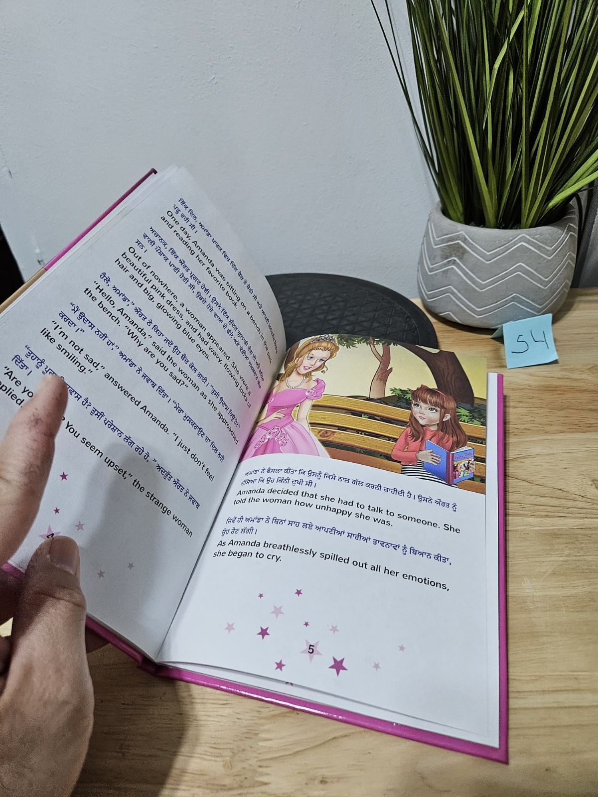 Amanda’s Dream (Punjabi English Bilingual Kids’ Book – Gurmukhi) Hardcover