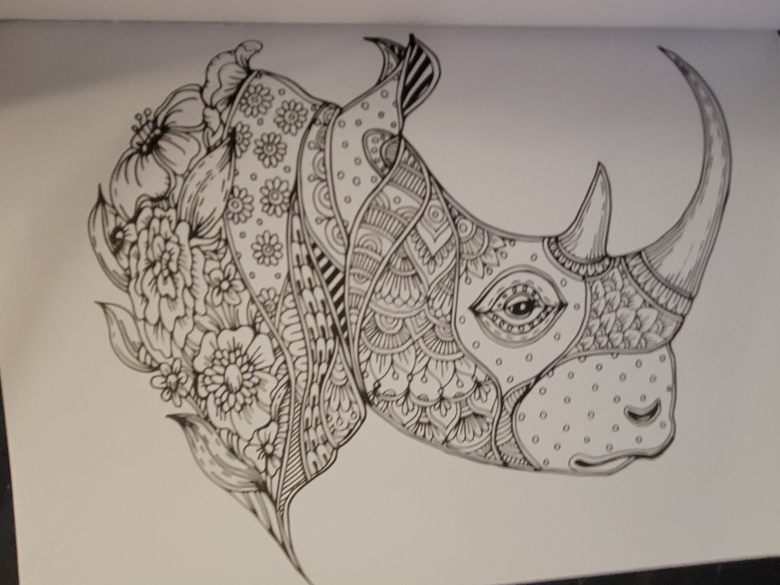 MAJESTIC CREATURES Vol. 18 Adult Coloring Book With 47 Prints Ready To Frame!