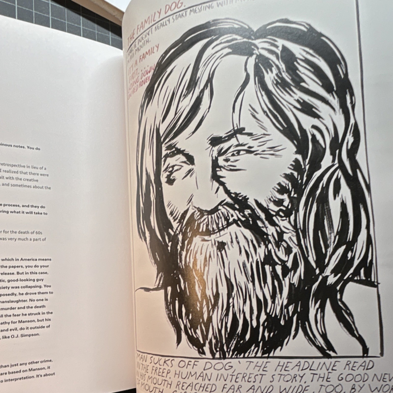 Raymond Pettibon Art Book Softcover Phaidon Press 2001 Illustrated First Edition