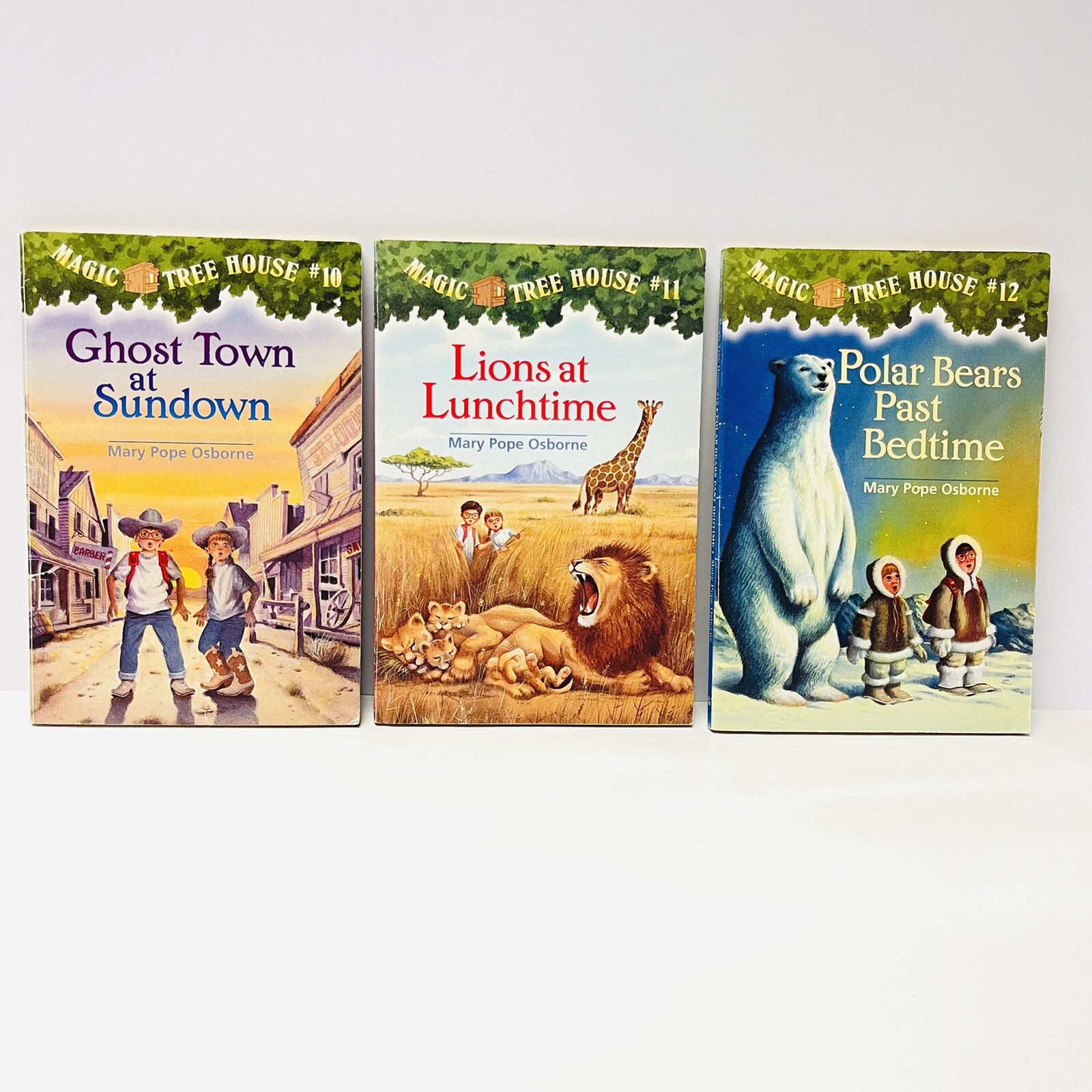 Lot Of 15 Magic Tree House Merlin Missions Series Paperback Books