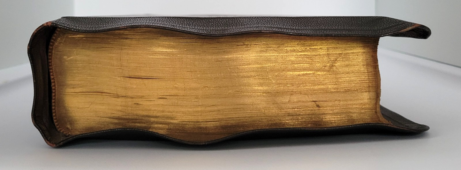 The Catholic Press Family Edition Holy Bible, 1950 John P O’Connell