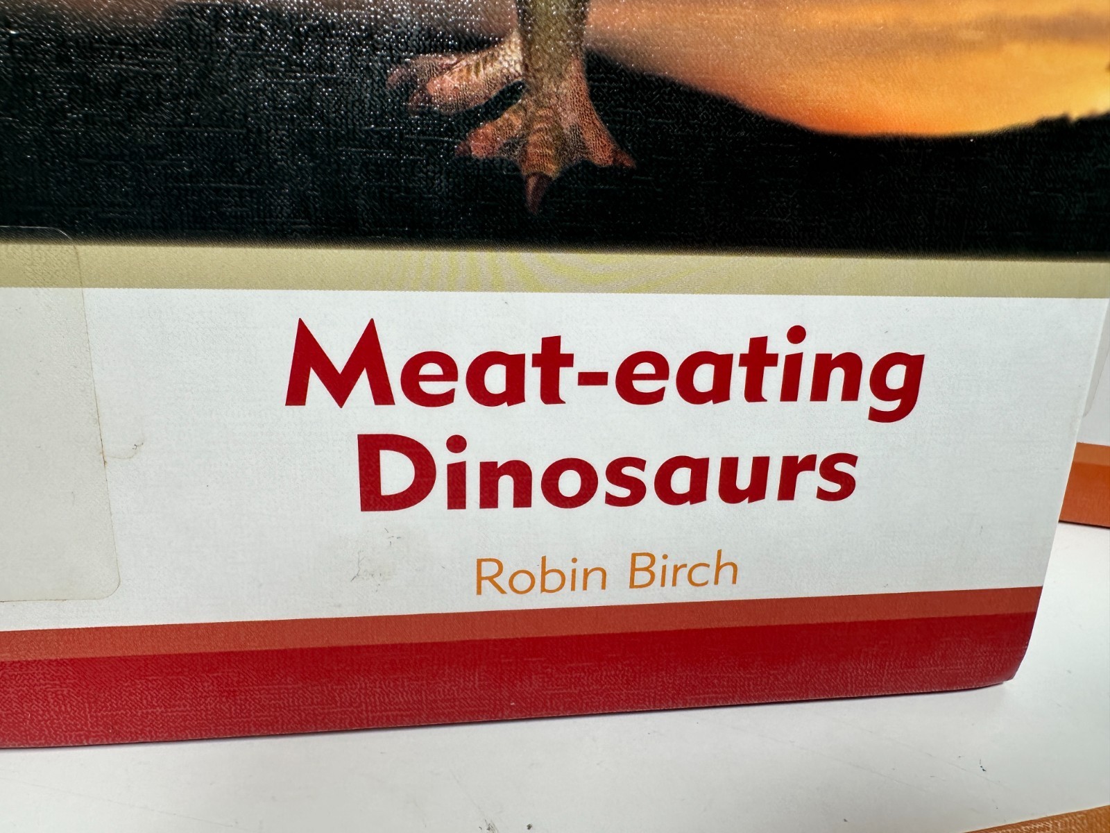 Set of 6 Dinosaur World Books Robin Birch Ex-Lib Teacher Homeschool Reading