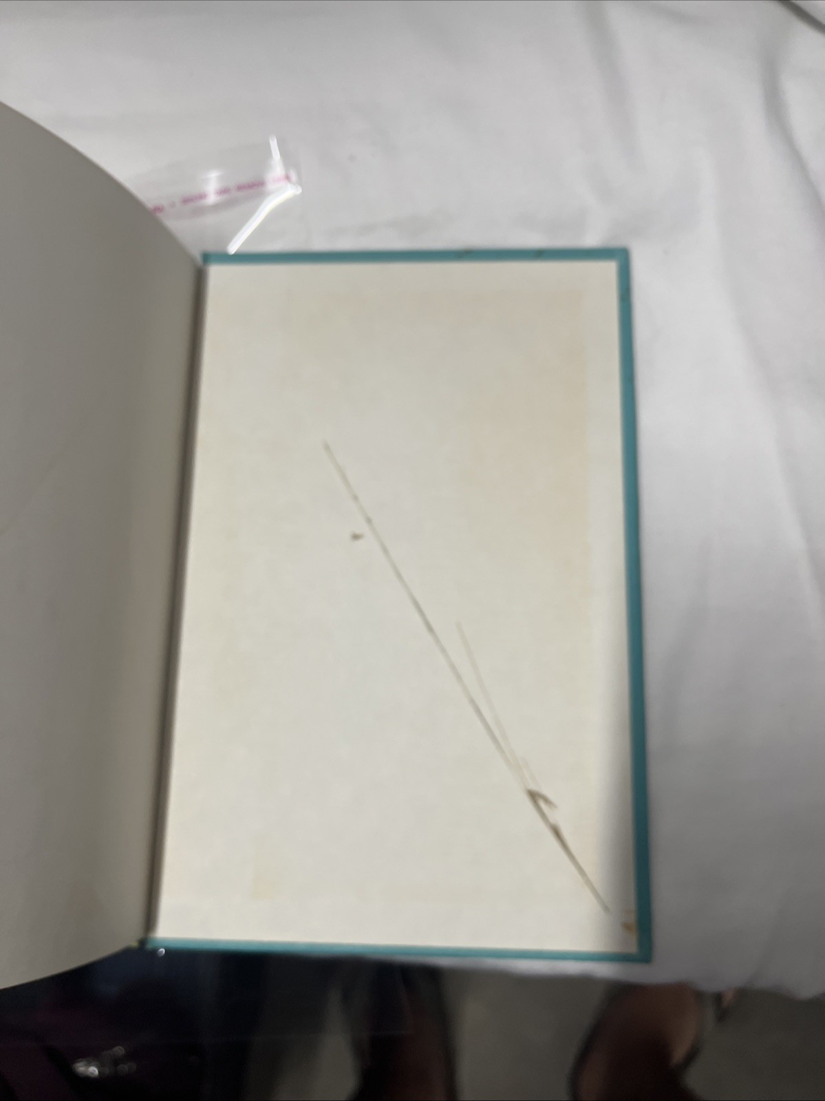 Albert the Albatross Story and pictures by Syd Hoff children’s book