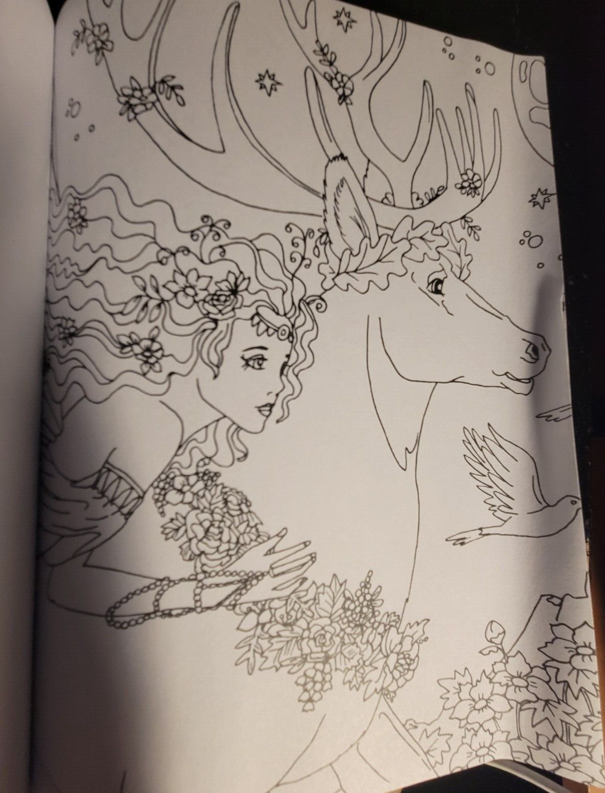 COLORING MYTH & MAGIC – Adult Coloring Book by TOPIX MEDIA – 47 PRINTS