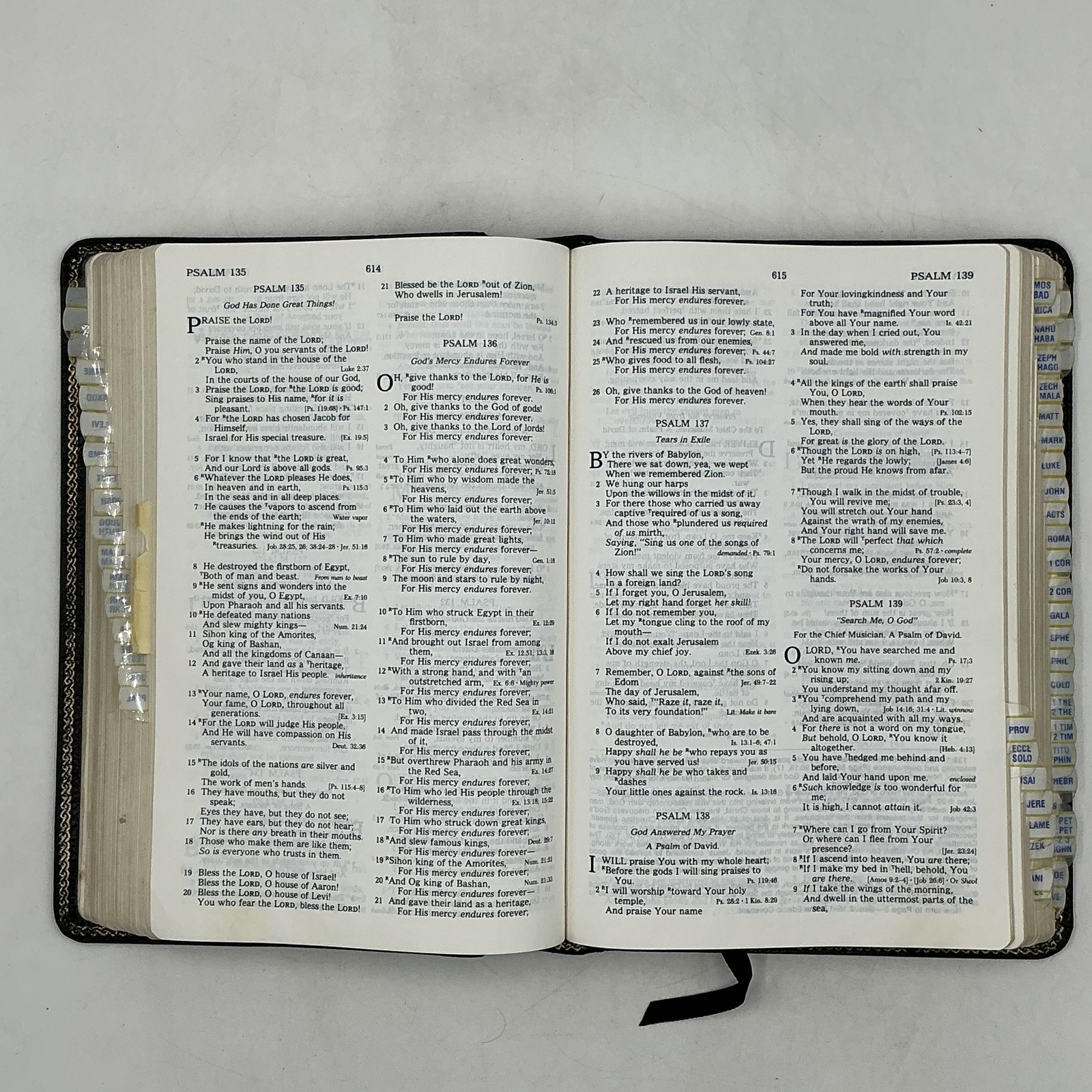 Vintage Holy Bible The Open Bible NKJV Expanded Edition Thomas Nelson Leather