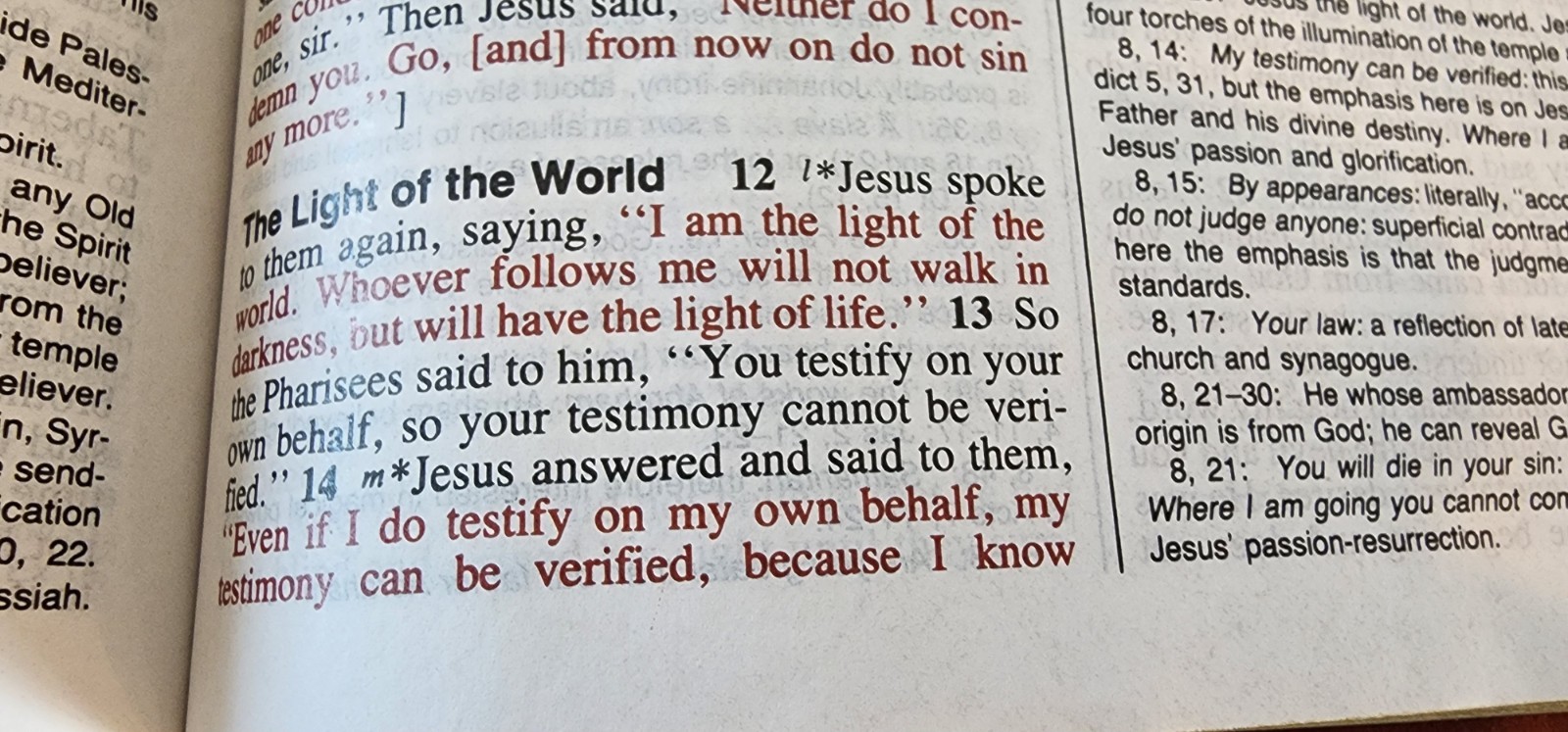 The New American Bible Catholic World Press Red Letter Edition Crimson Cover 91