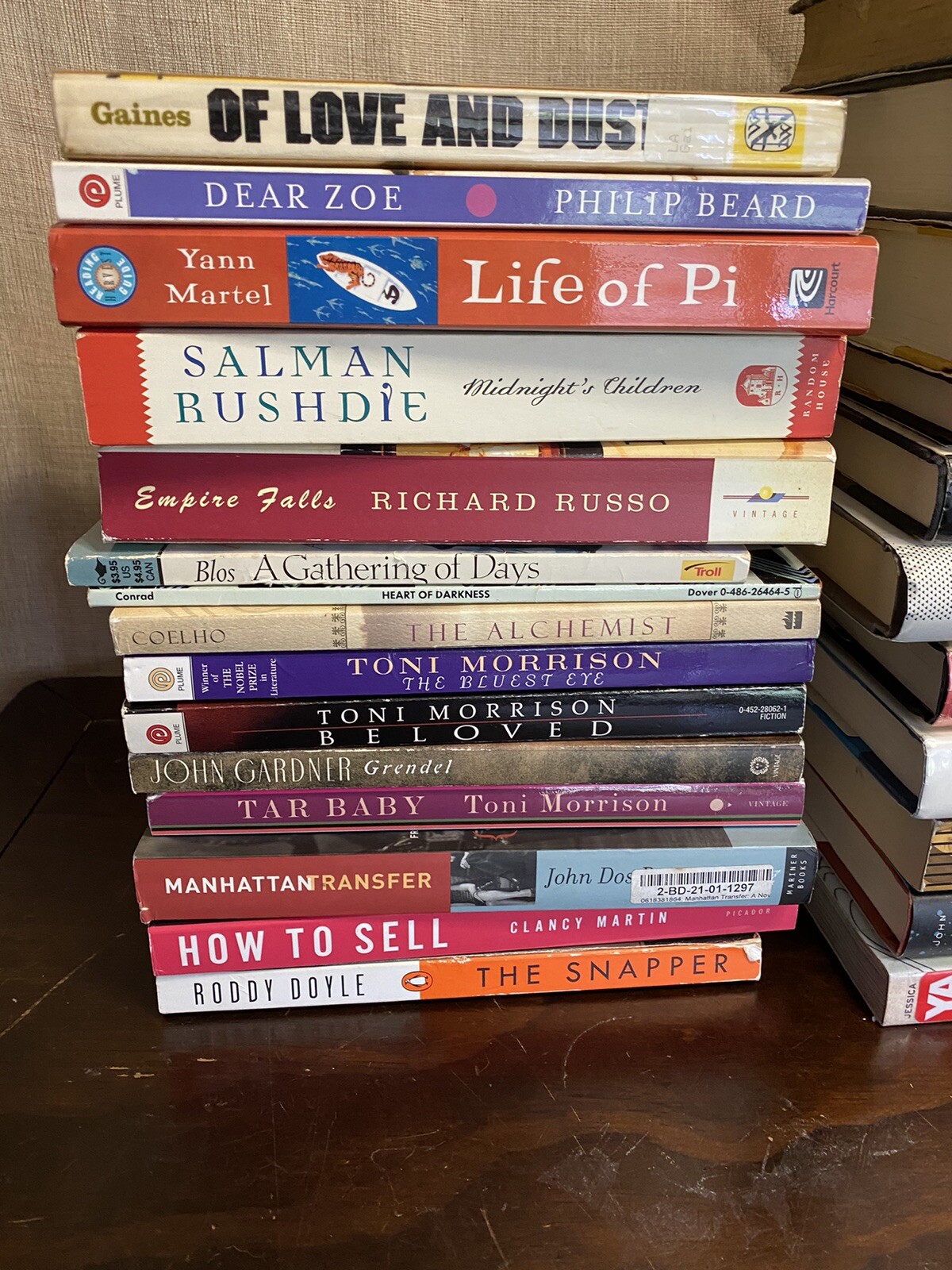 BUILD YOUR OWN BOOK LOT – Classics/Contemporary Literary Fiction – PB/HB