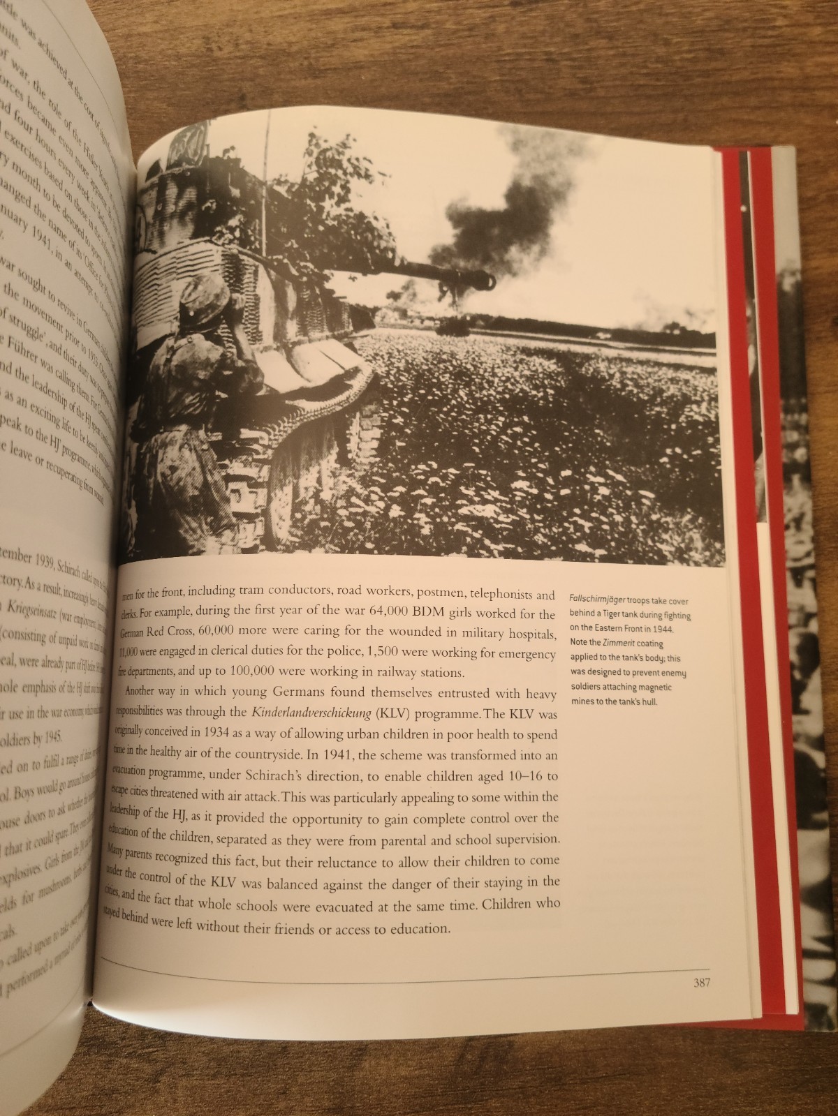 Hitler’s Armies: A History Of The German War Machine 1939-1945, By Chris McNab