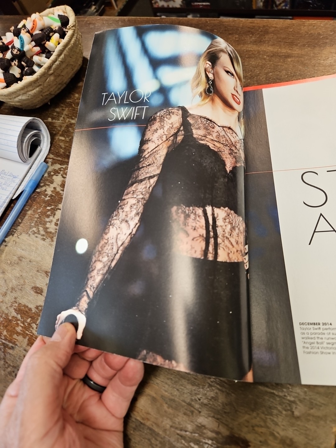 TAYLOR SWIFT STYLE ALBUM Fall 2023 Pop Icons Magazine 100+ Photos LIKE NEW