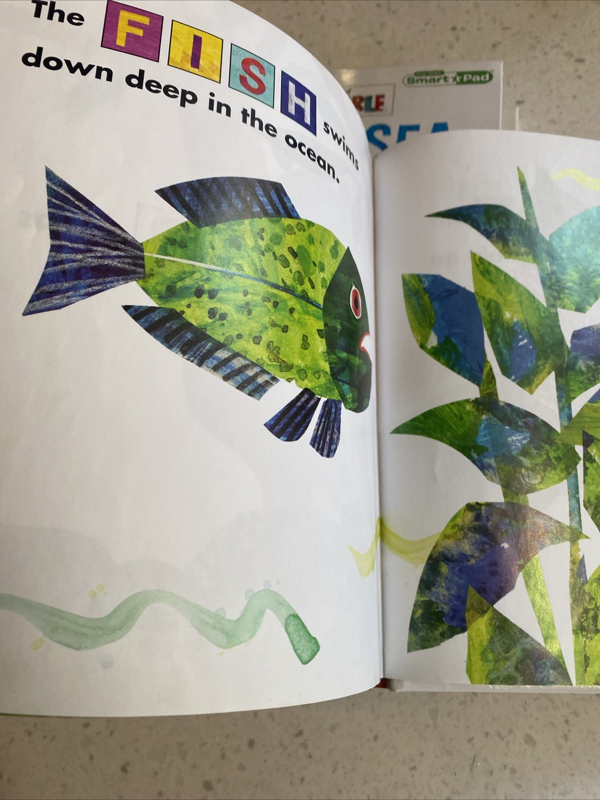 Eric Carle Books Lot 10 Big Small Quick Slow Hot Cold Birthday