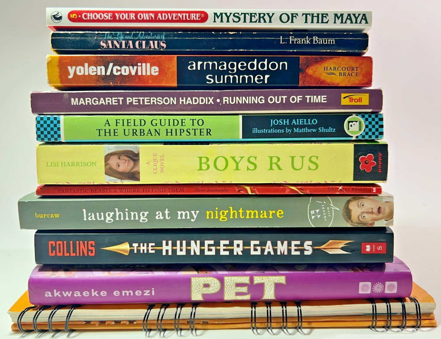 Young Adult Paperback Book Lot x11 Hunger Games Harry Potter YA Bundle