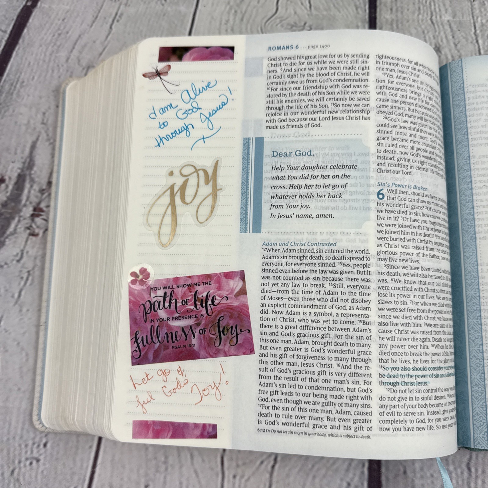 Thrive : A Journaling Devotional Bible for Women by Sheri Rose Shepherd…