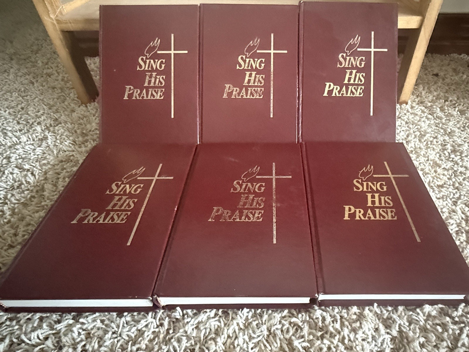 ⛪️ Lot of 15 Sing His Praise 1991 Gospel Publishing House Christian Hymnal Hymn