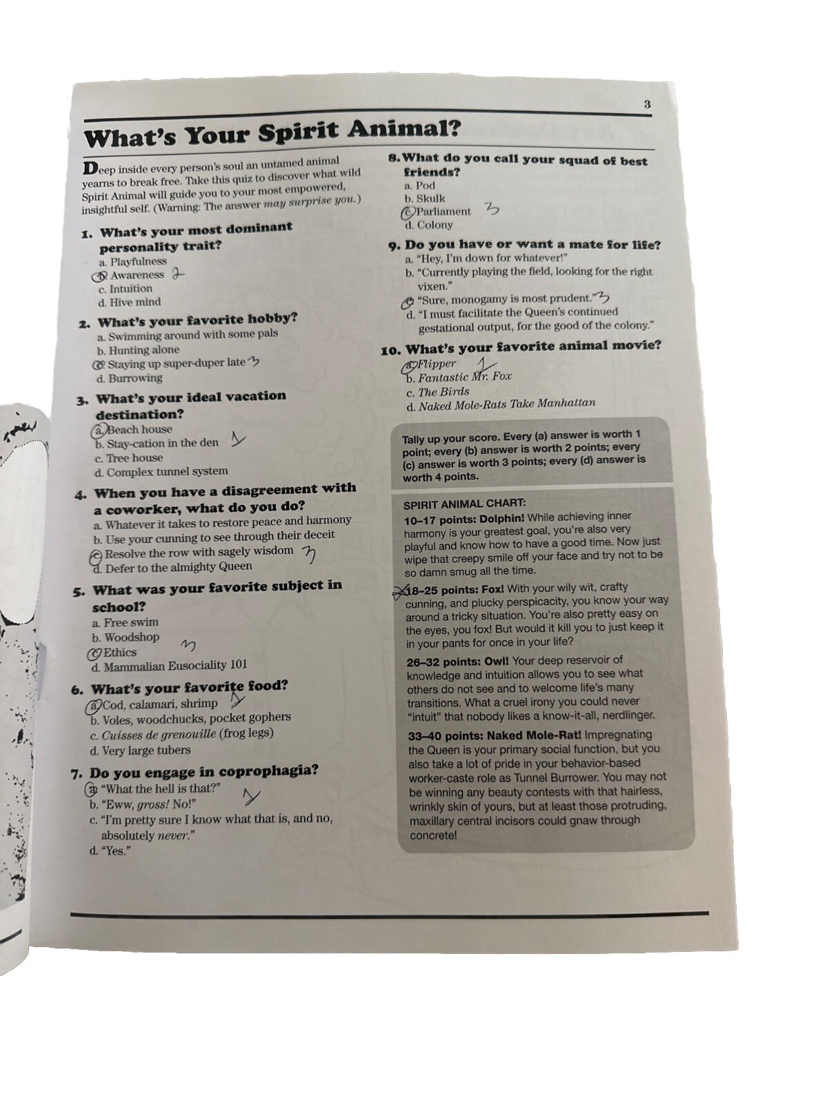Stoner Puzzle Stash : An Activity Book for the High-Minded by Blaise Kushman…