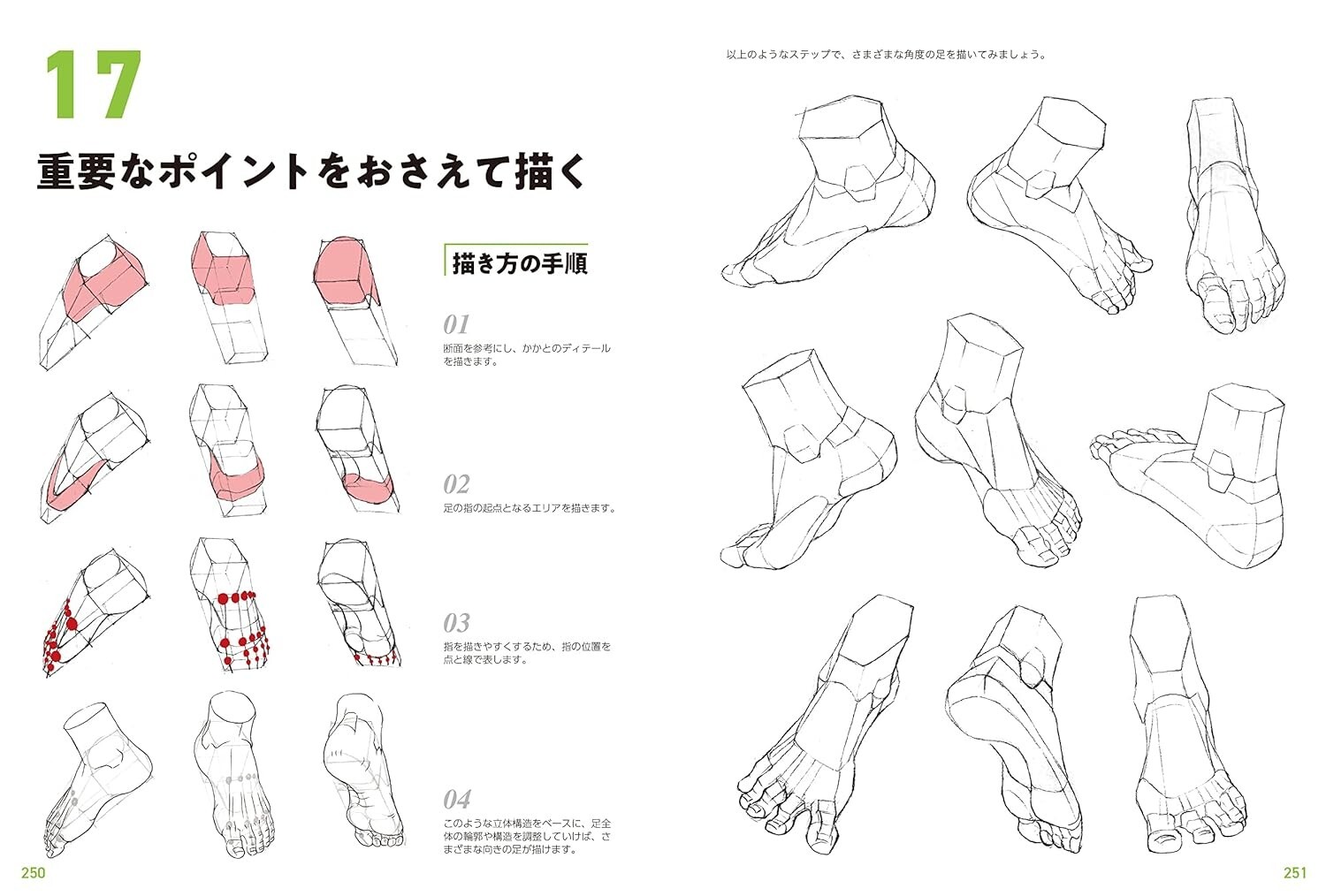 Master Guide to Drawing the Human Body : Character Drawing from the Basics Japan