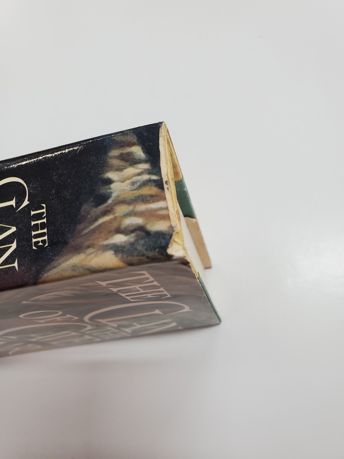 The Clan of the Cave Bear by Jean M Auer (1980, Crown) Vintage Hardcover