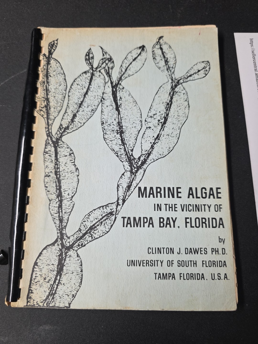 MARINE ALGAE In The Vicinity Of Tampa Bay FLORIDA By Clinton J Dawes – Marine Bi