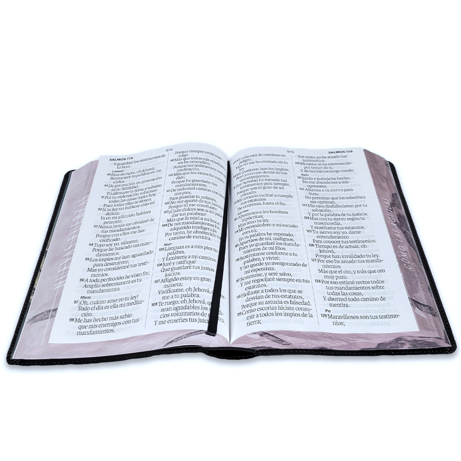 Biblia Letra Super Gigante 19 puntos RV1960 imit piel negro aguila