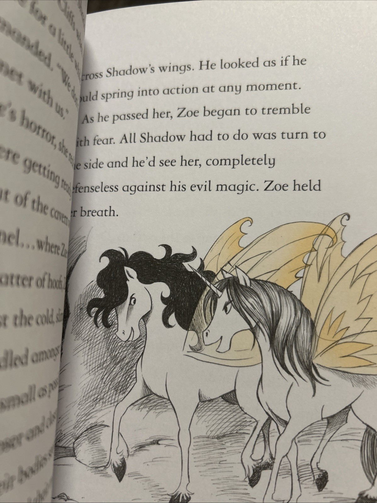 Fairy Unicorns Book Series Set of 9 Paperbacks by Zanna Davidson