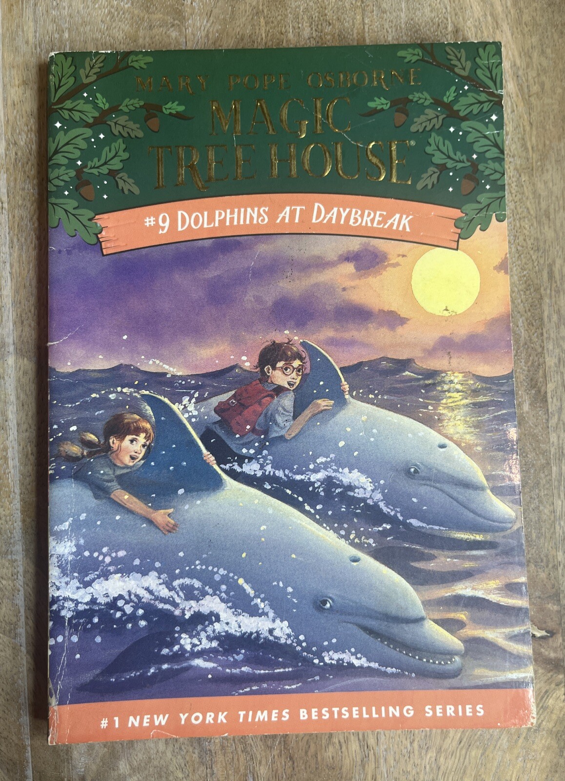 Dolphins at Daybreak (Magic Tree House, No. 9)
