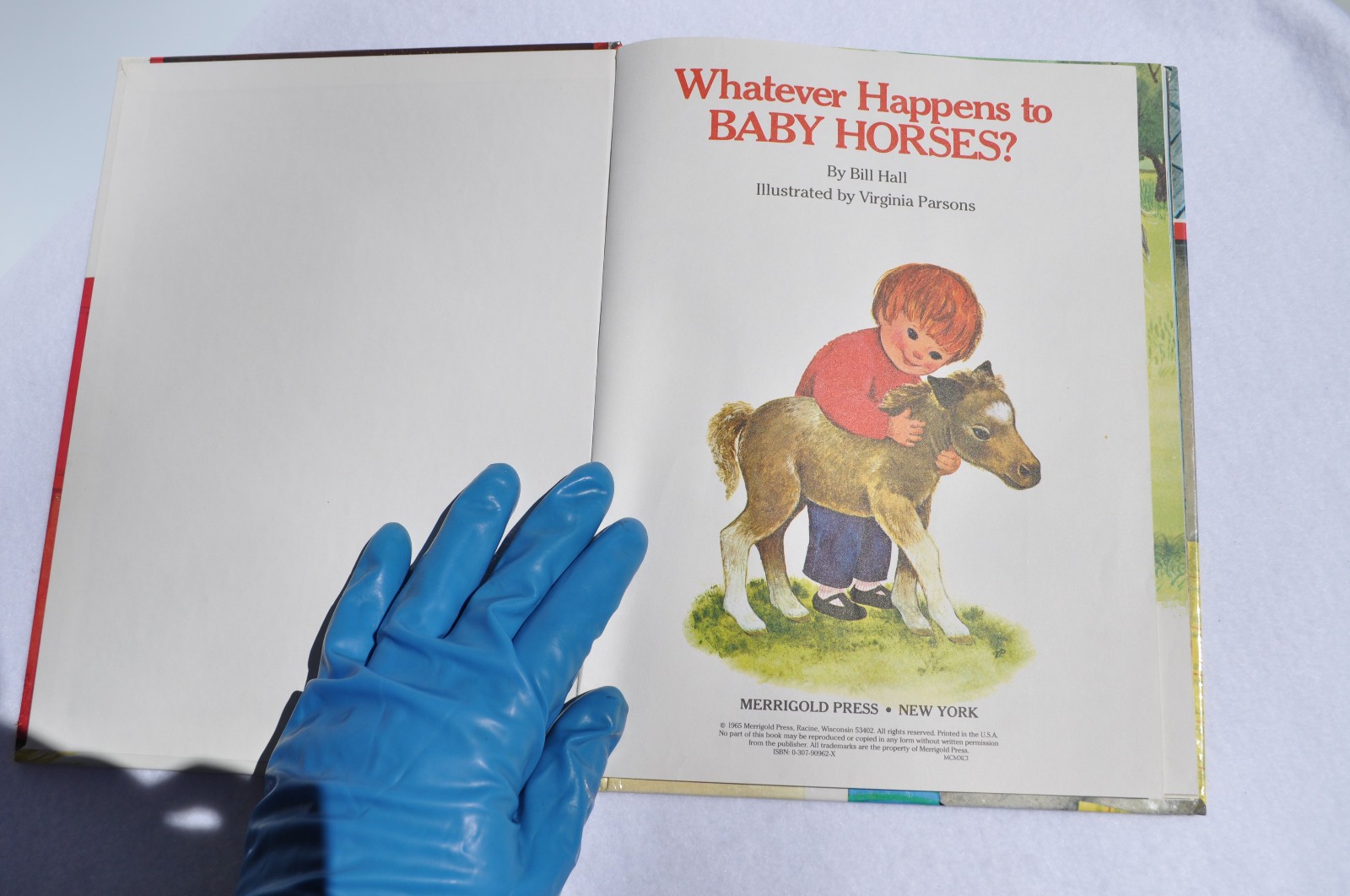 Horse Books For Kids: Horace, The Horse; Thunderhoof +vinyl record; Baby Horses