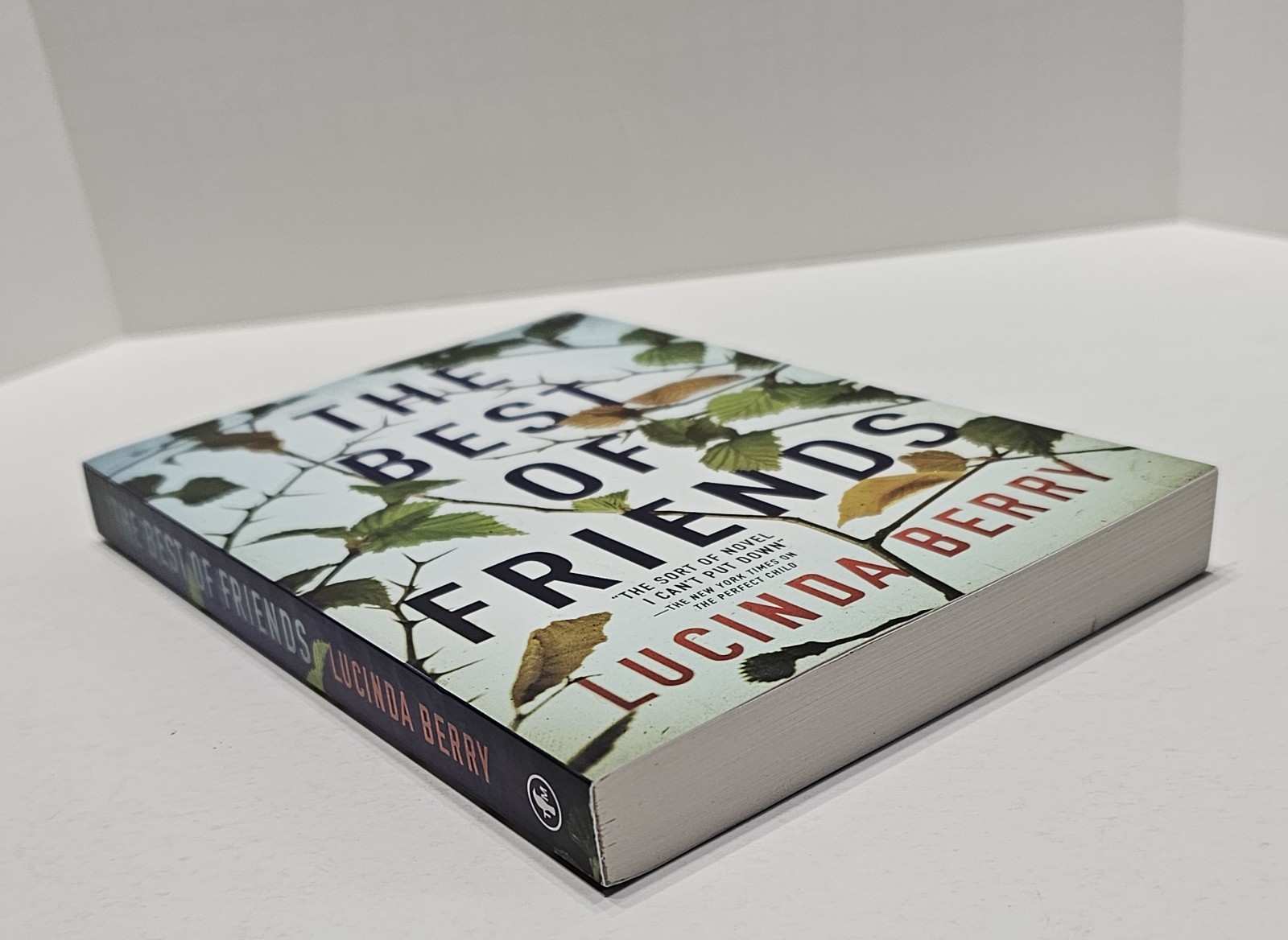 Best of Friends by Lucinda Berry (2020, Trade Paperback) BRAND NEW