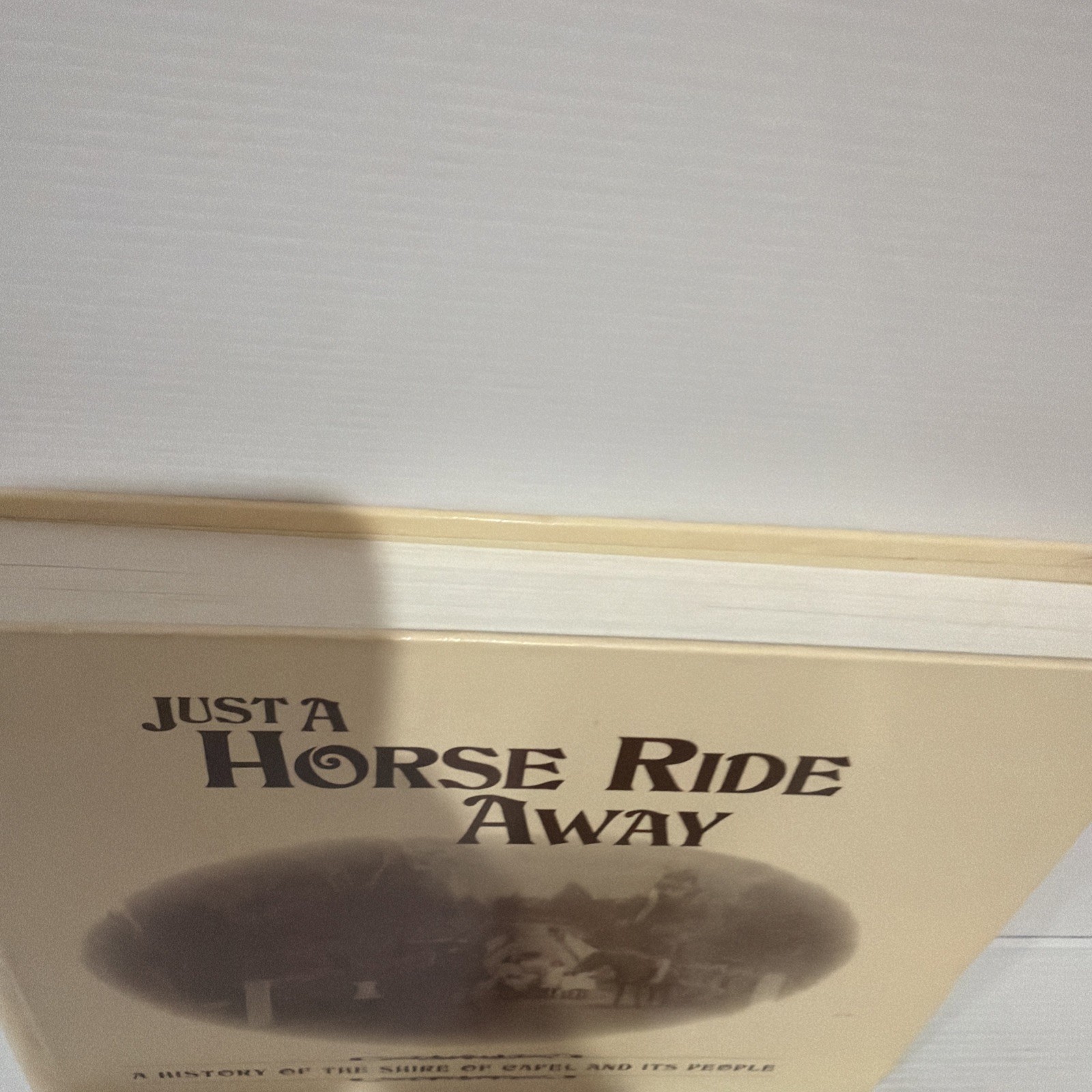 Diana Chase et al – JUST A HORSE RIDE AWAY hardcover 1995 Capel WA