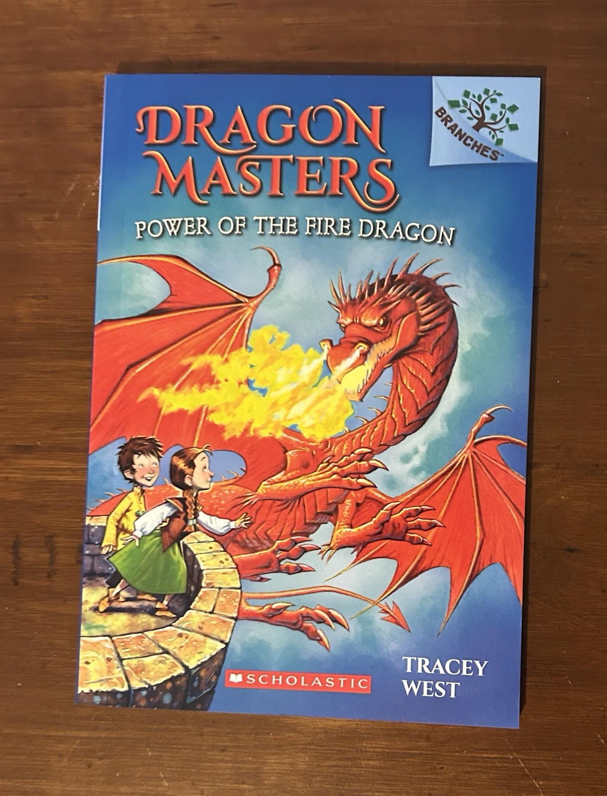 Dragon Masters Books 3,4,5,7 Branches Early Chapter Books Tracey West
