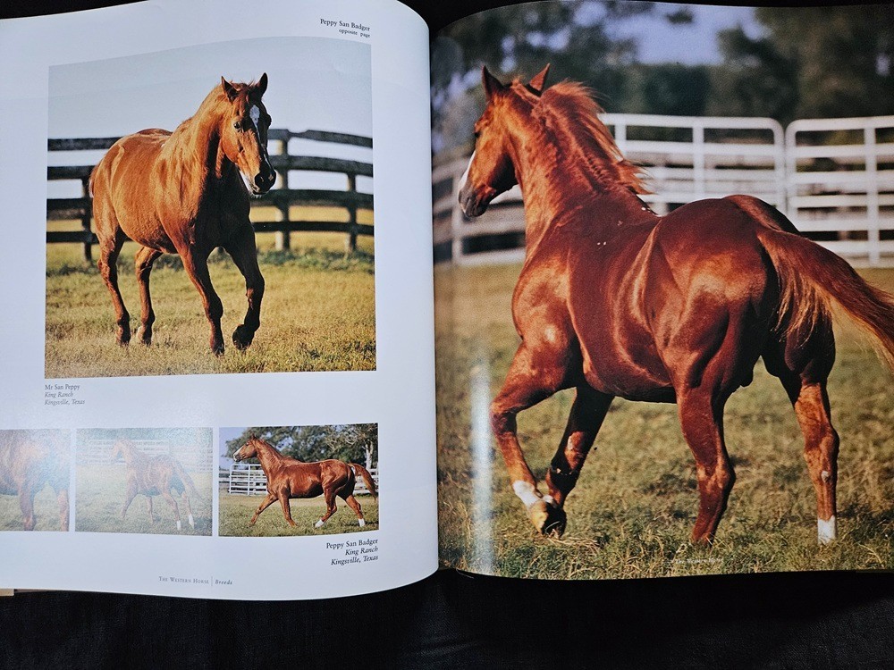 The Western Horse A Photographic Anthology Hardback Book