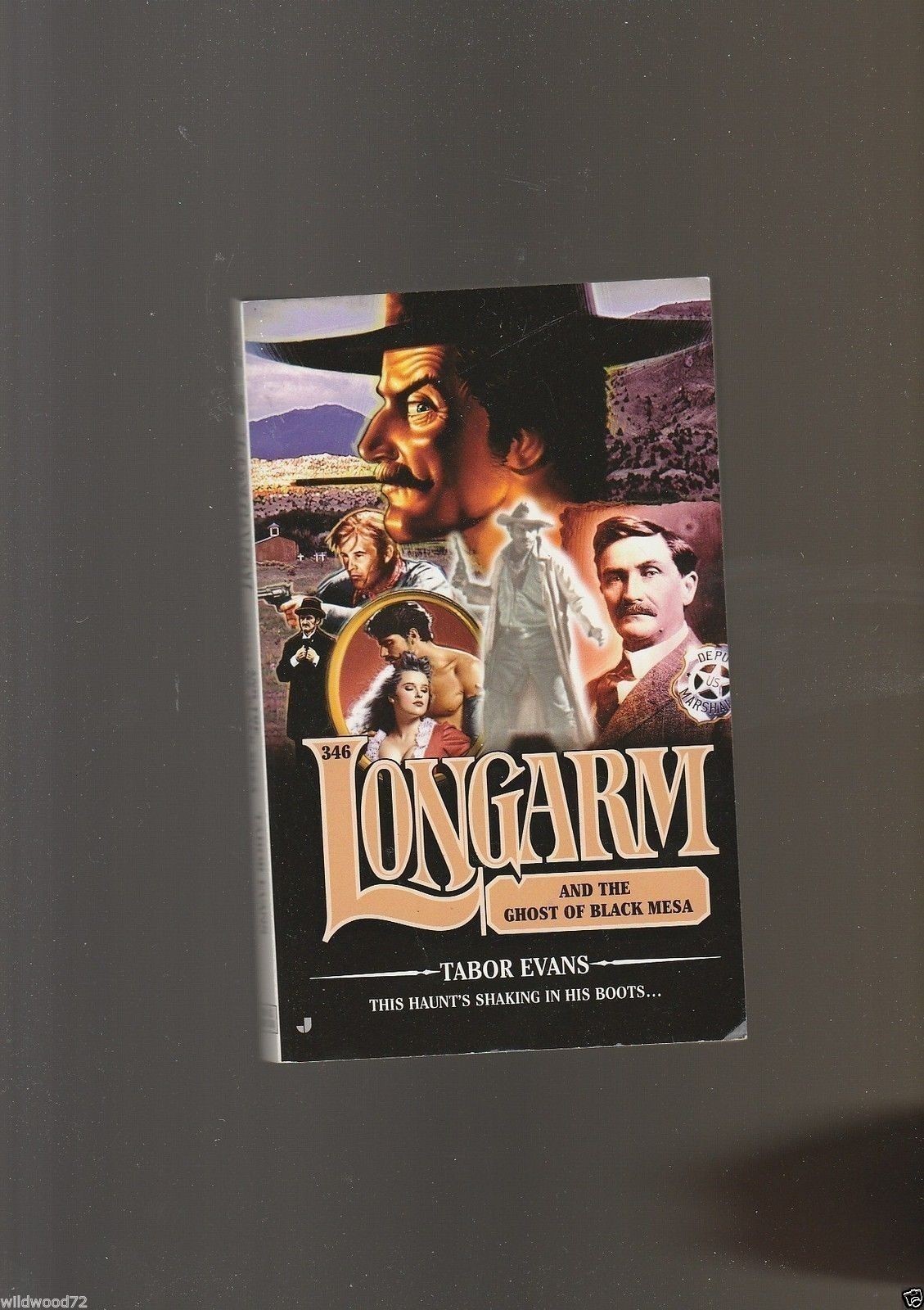 Longarm: Longarm and the Ghost of Black Mesa 346 by Tabor Evans (2007, Paperb…