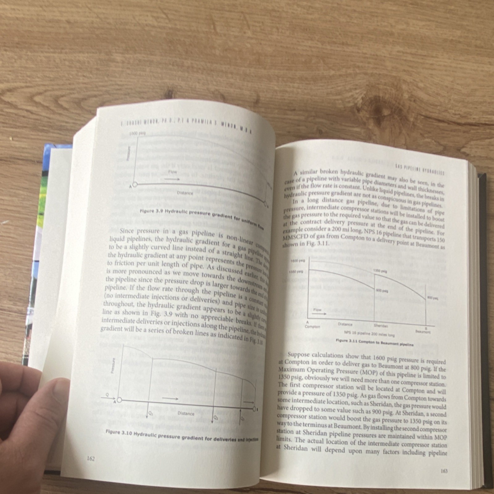 Gas Pipeline Hydraulics by E. Shashi Menon & Pramila S. Menon Hardcover