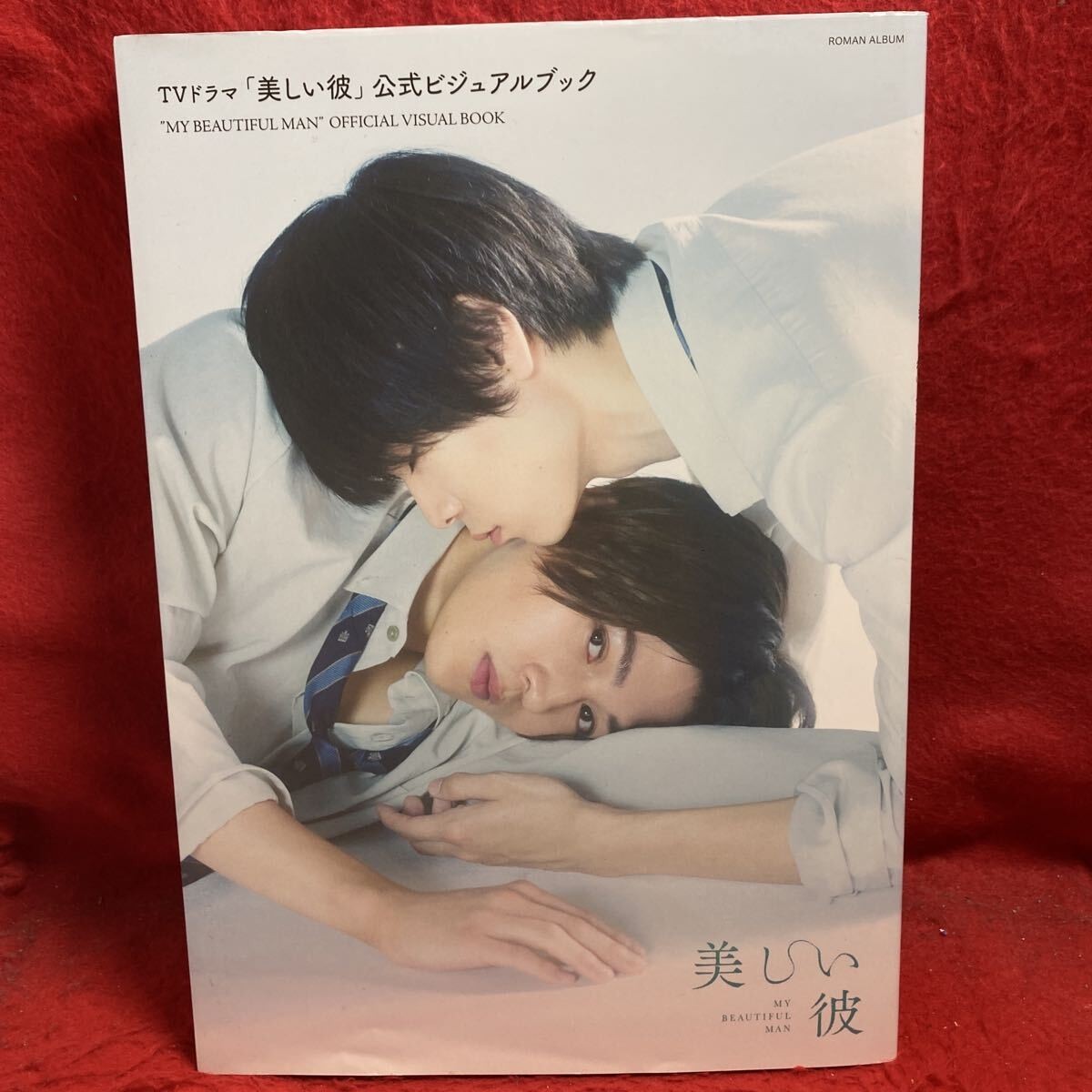 My Beautiful Man Utsukushii Kare Official Visual Book TV Drama Photo Japan Used