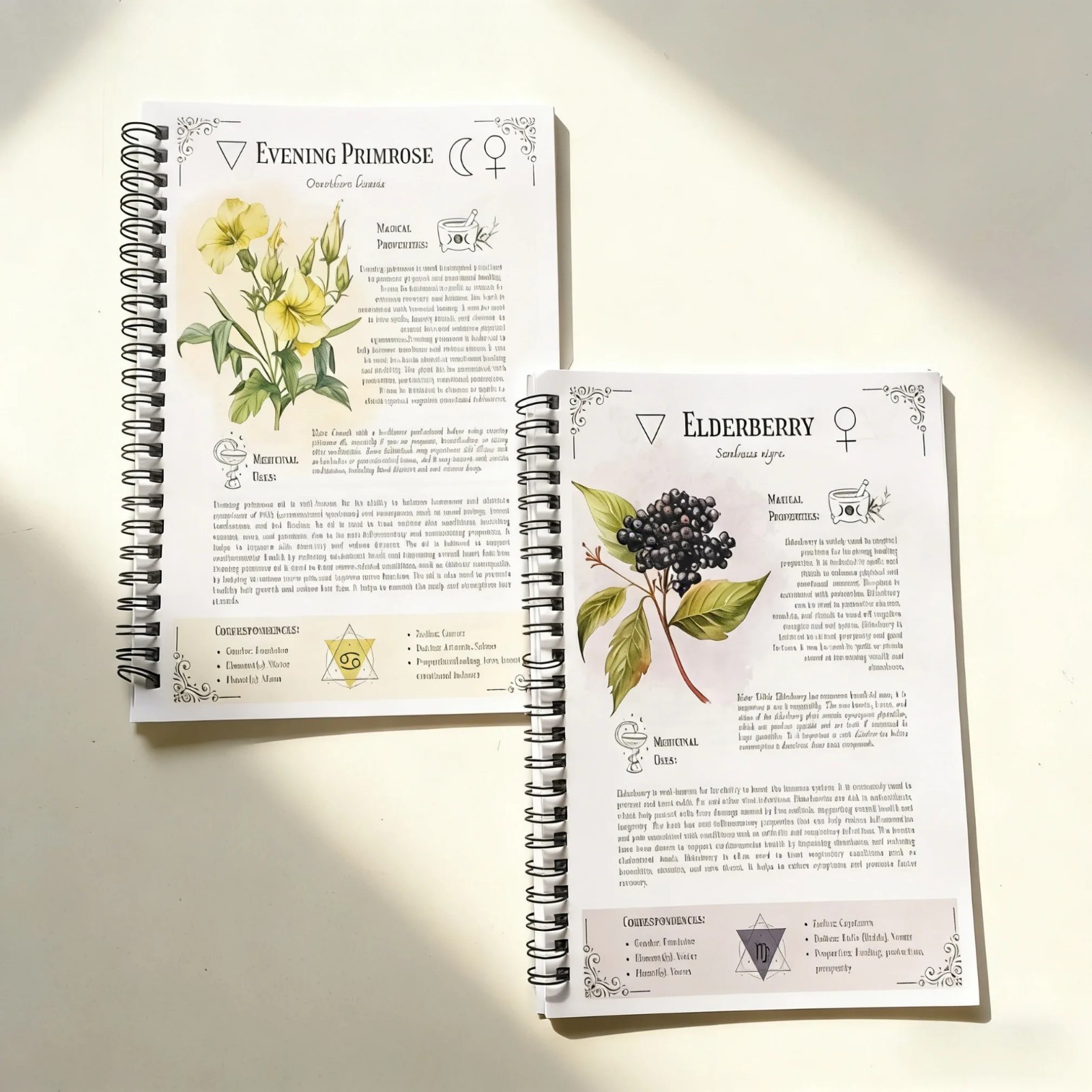 Natural Healing Handbook Herbal Remedies Spiral Notebook Plant Lovers Book