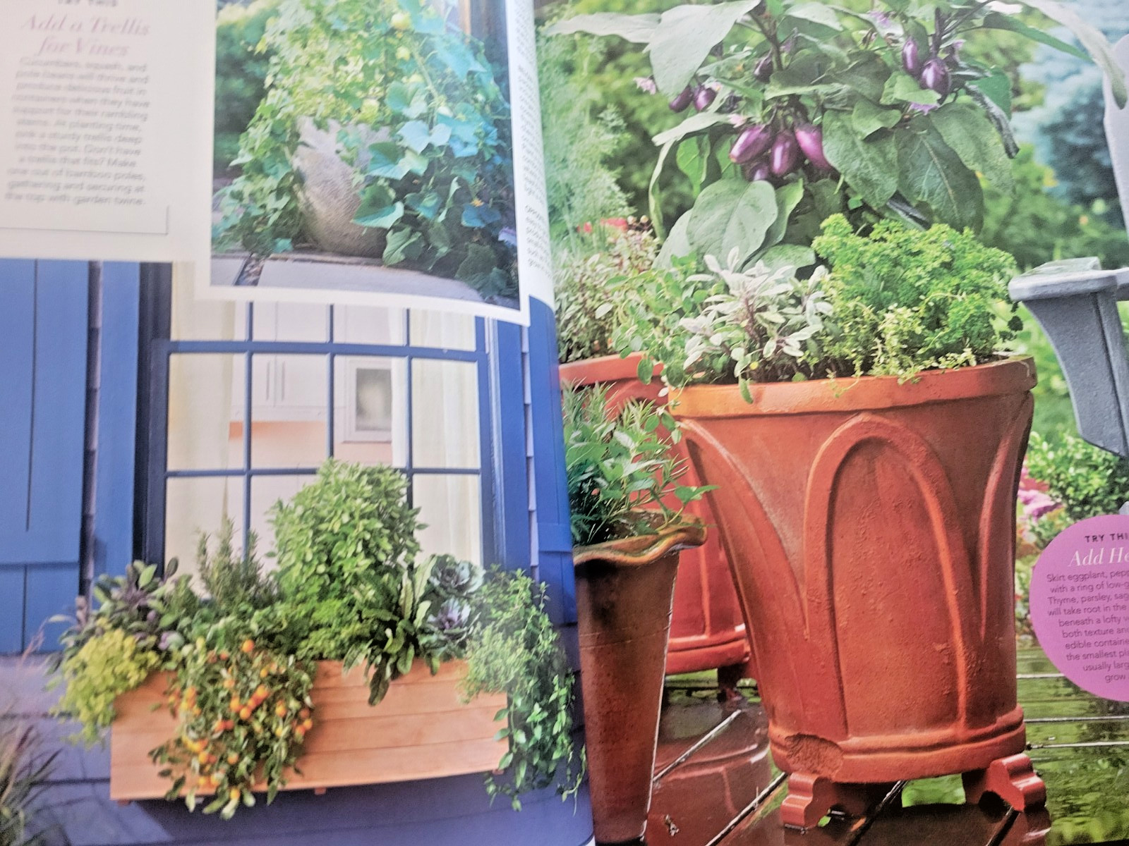 Container Gardening by BH&G – 100 Easy-Care Combos for Sun or Shade- Like A Pro