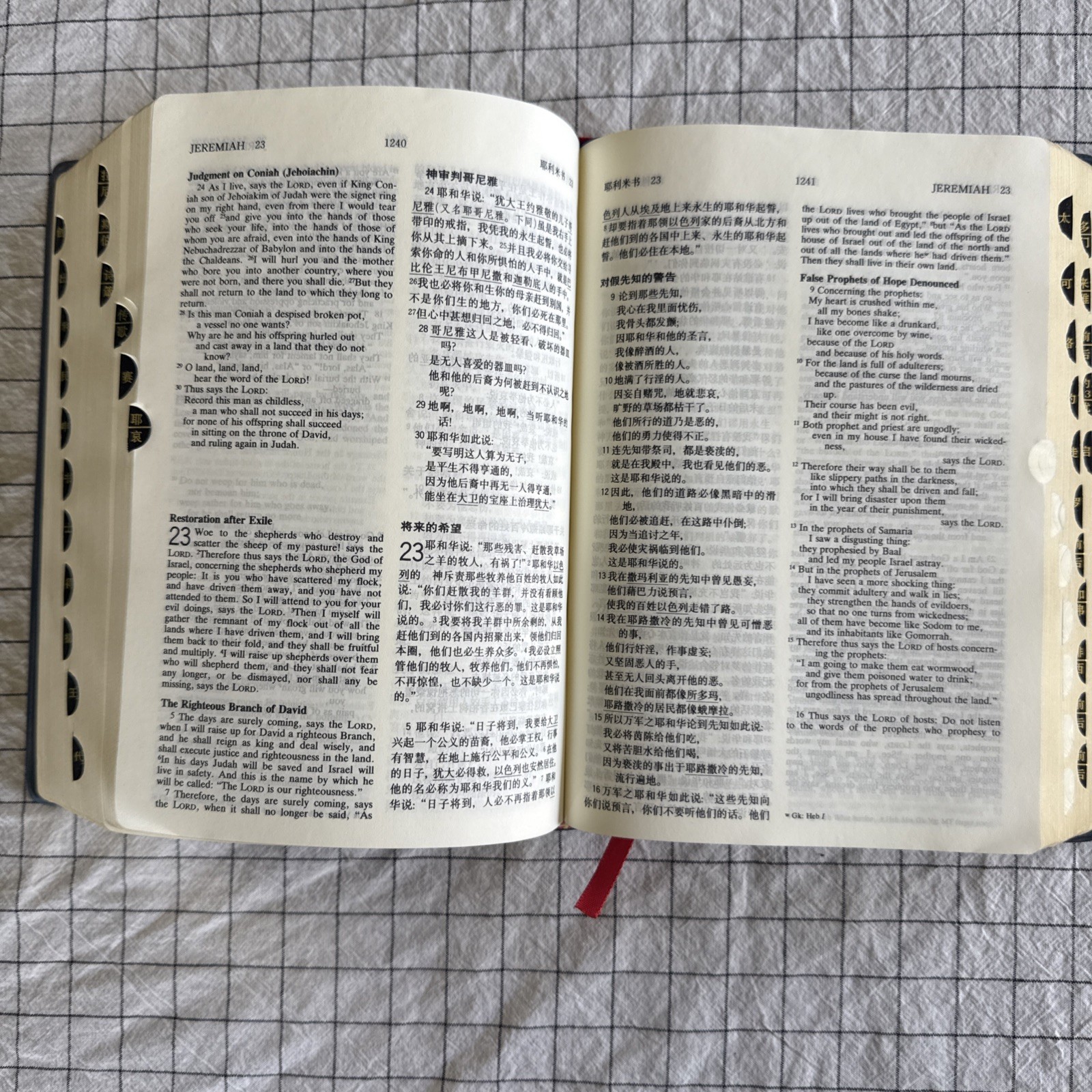Holy Bible: NRSV New Revised Standard, Bilingual English Chinese 圣经 现代中文译本
