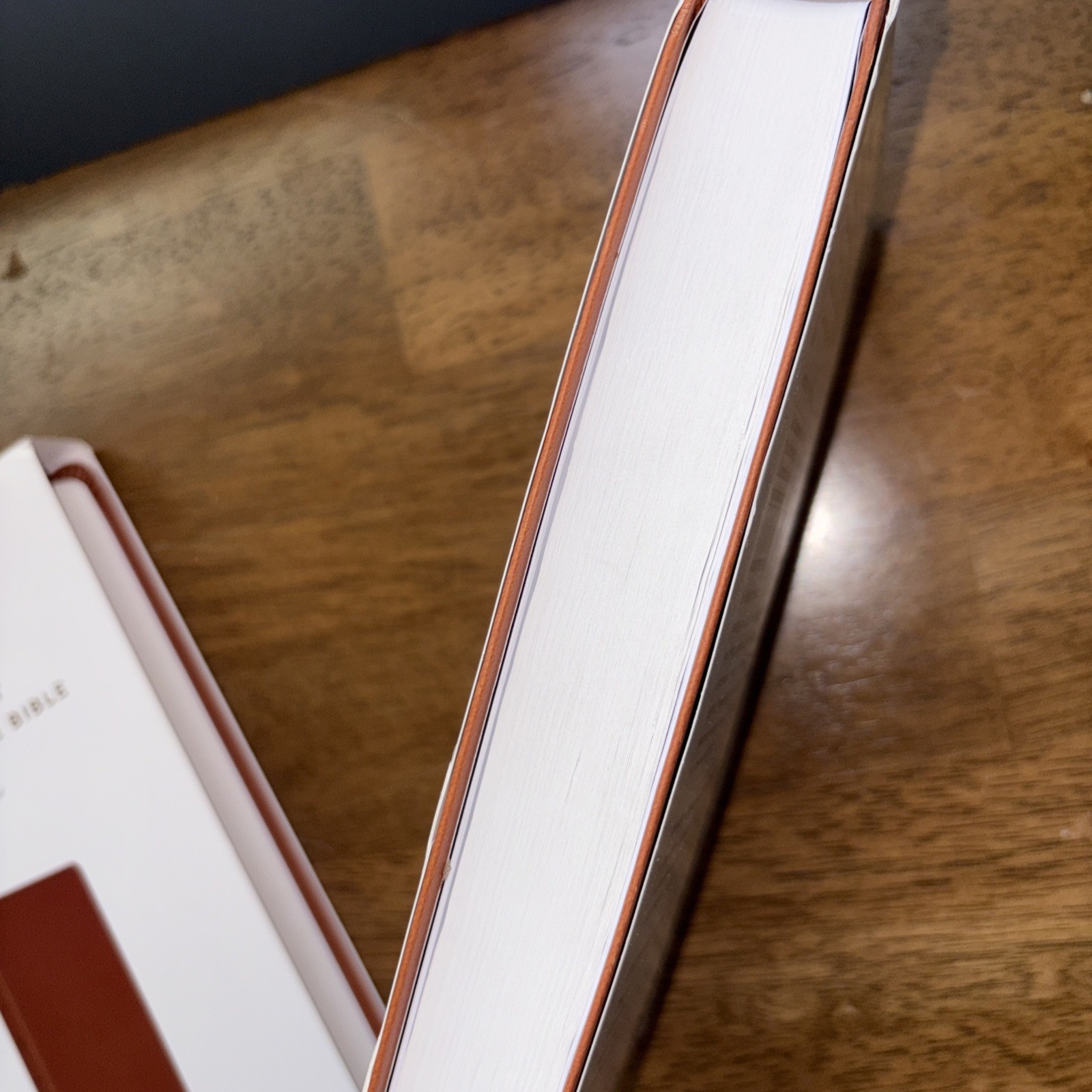 ESV Large Print Value Thinline Bible (Trutone, Camel) by Esv Bibles: New