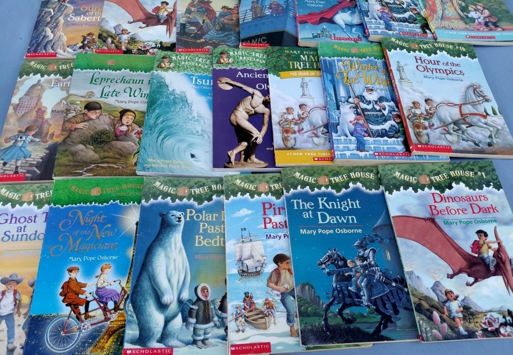 COLLECTION (20) MAGIC TREE HOUSE GIRLS YOUTH STORY SERIES SC