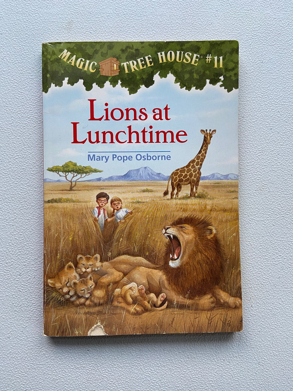 Lions at Lunchtime (Magic Tree House, No. 11) 1998