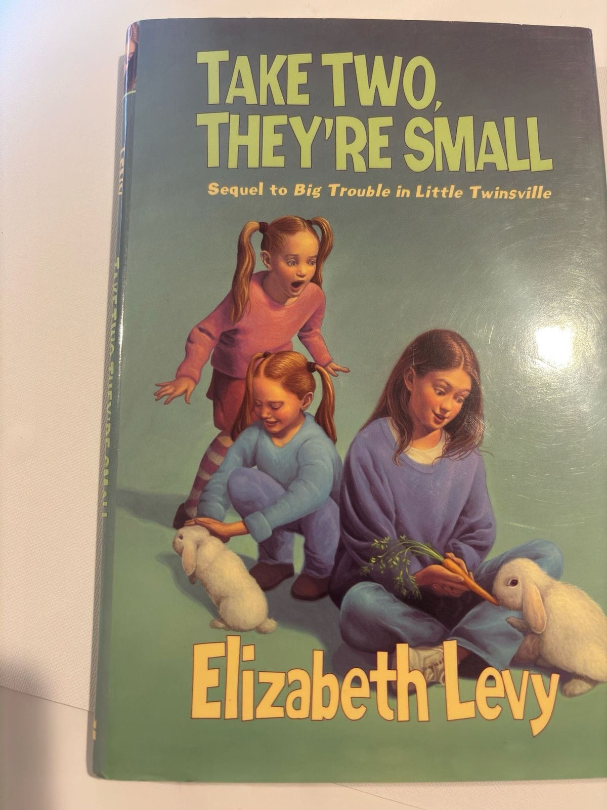 Take Two, They’re Small by Elizabeth Levy (2003 First Edition Hardcover)