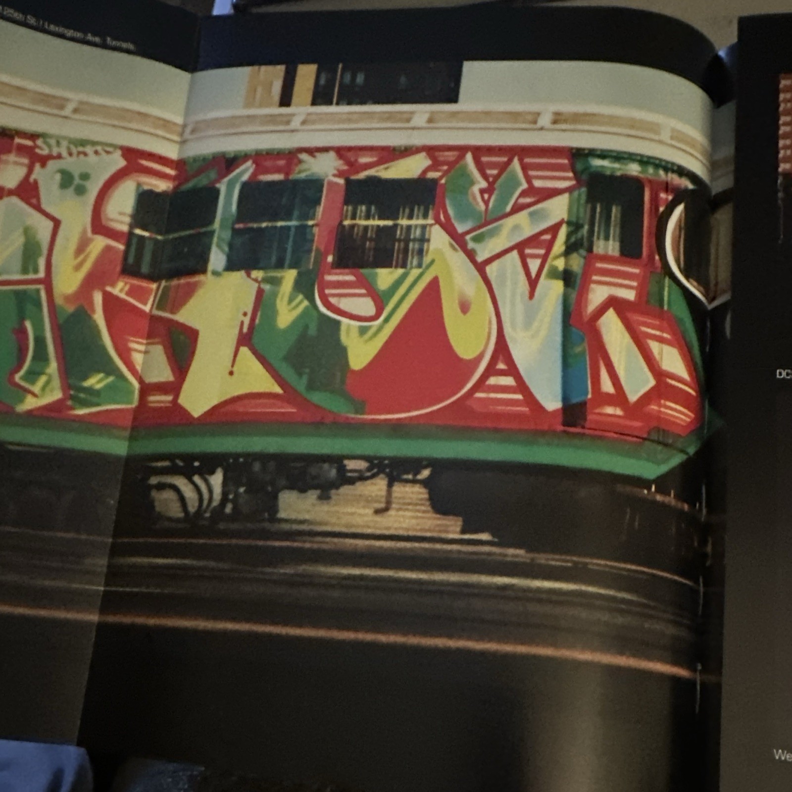 New York City Graffiti: The Destiny Children Softcover George McAvoy 2011