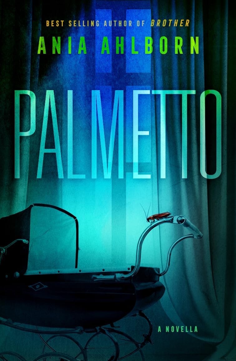 Palmetto By Ania Ahlborn Paper Back Good read! Like New Free Ship