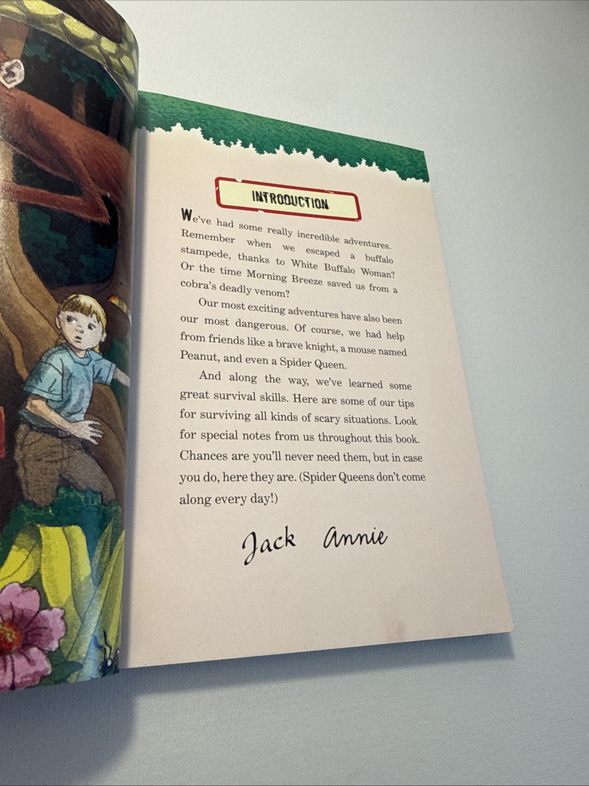 Magic Tree House Survival Guide by Natalie Pope Boyce and Mary Pope Osborne…