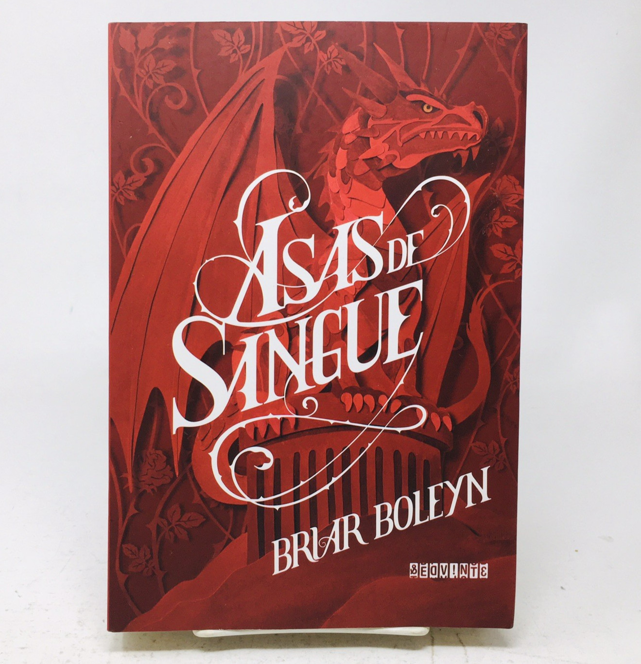 Asas de Sangue On Wings of Blood Briar Boleyn in Portuguese Lng YA Fantasy Vol 1