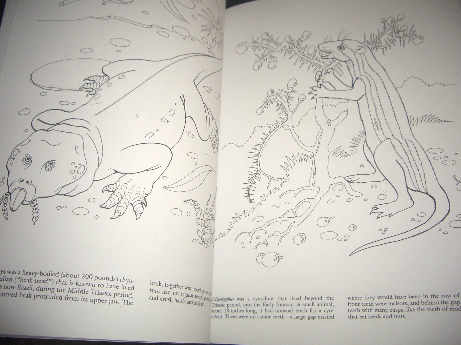 Dinosaurs + Prehistoric Creatures Gigantic Coloring & Learning Book-by DOVER