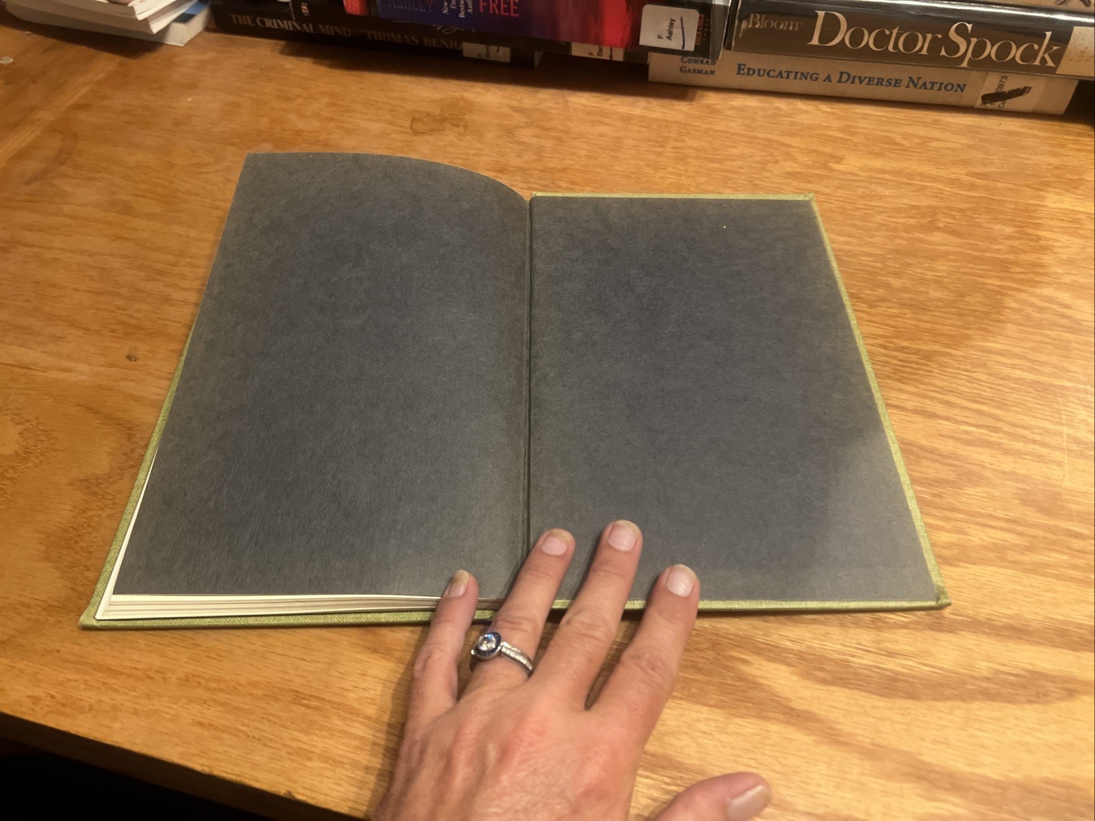 The Ecology of Stray Dogs: Study of Free-Ranging Urban Animals by Beck 1973 HC