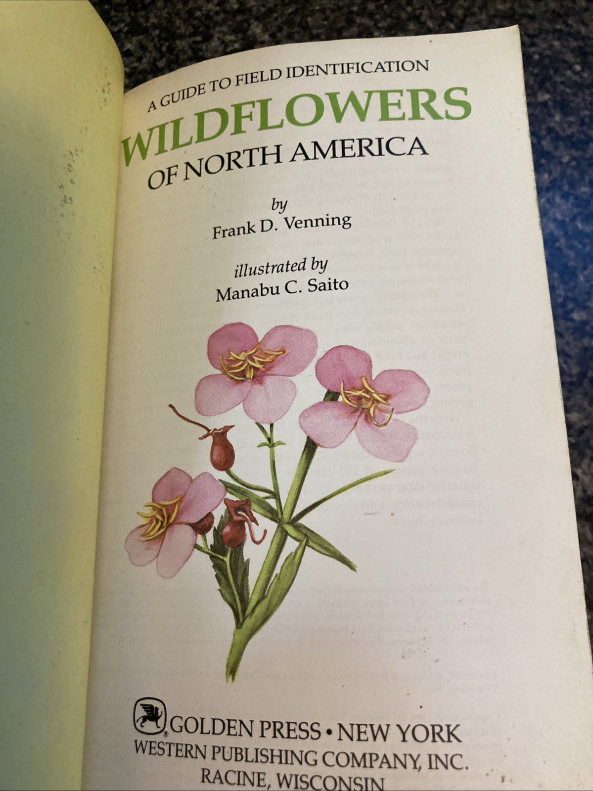 Vintage Golden Field Guide Wildflowers of North America Hibiscus cover 1984