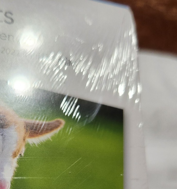 BROWN TROUT, BABY GOATS 2023 SQUARE WALL CALENDAR NEW FARM ANIMAL KID GOAT