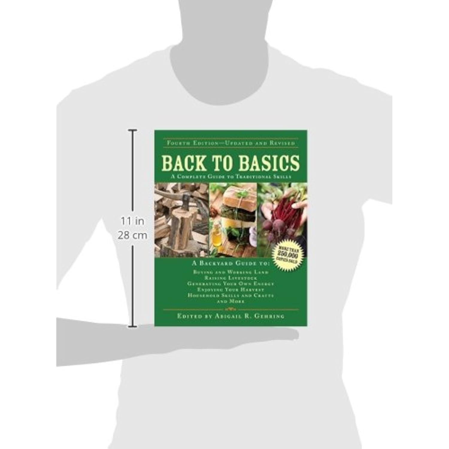 Back to Basics: A Complete Guide to Traditional Skills (Back to Basics Guides)