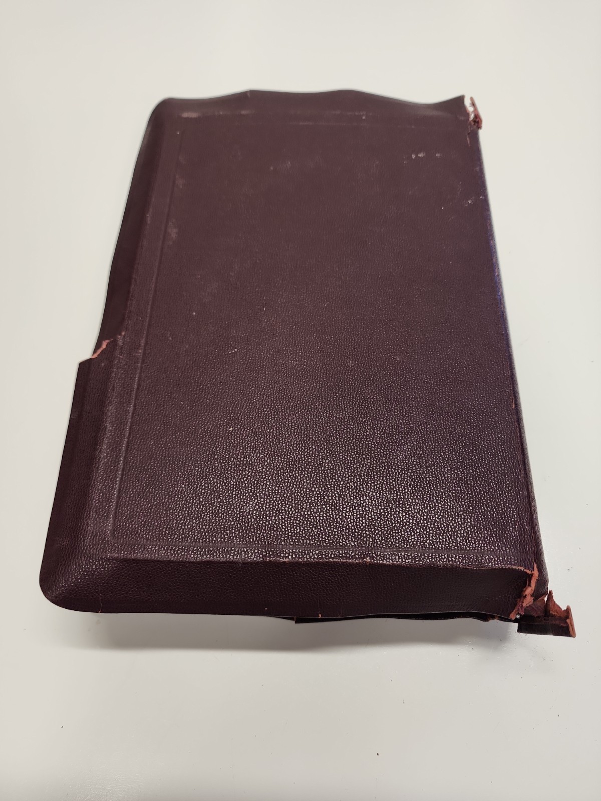The Catholic Press Holy Family Edition of the Catholic Bible 1950 Rev O’Connel