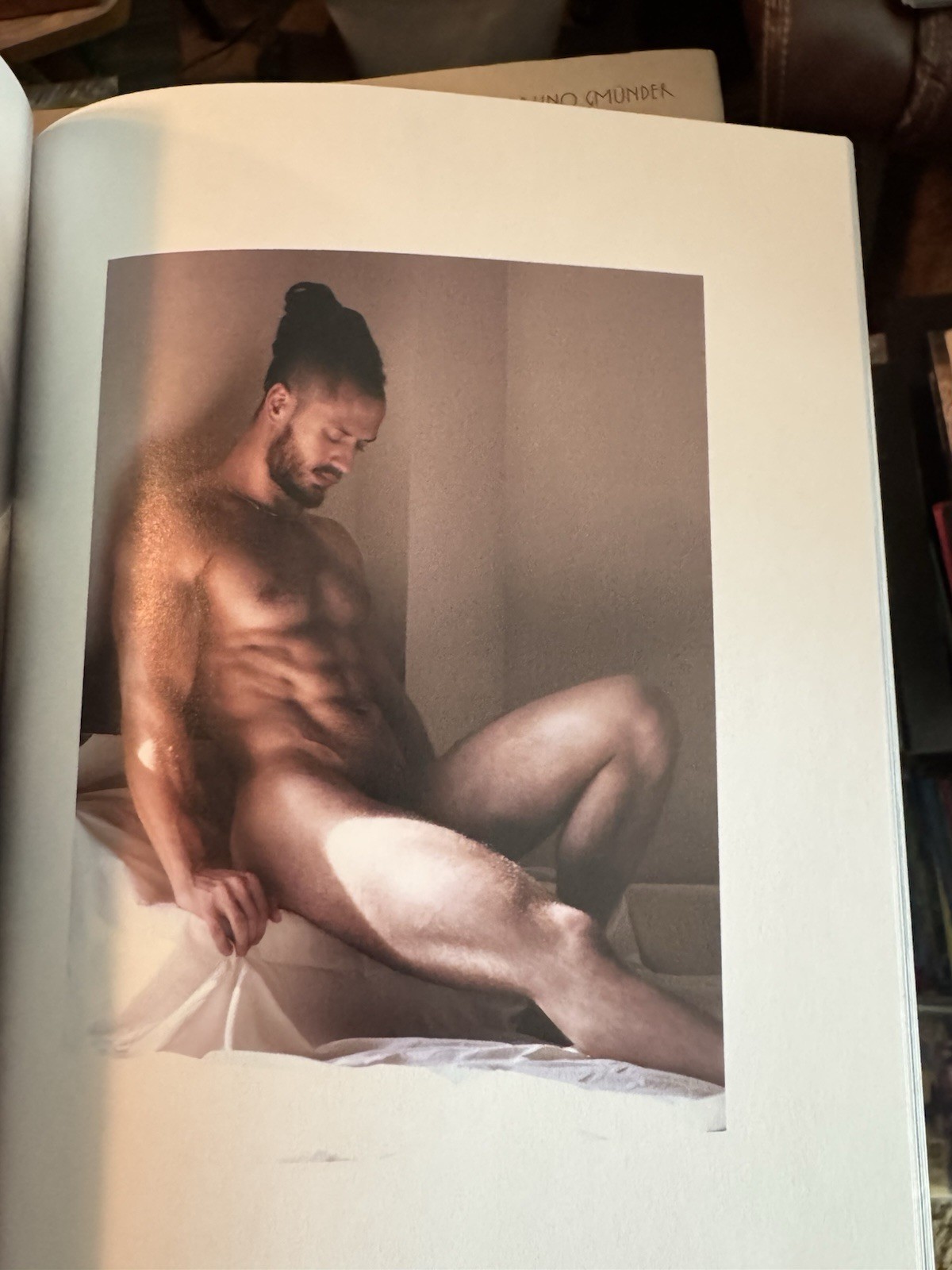 FRAGILE AND DEATHLESS by Nick Mesh Trade Paperback Book Gay Interest Male Nudity